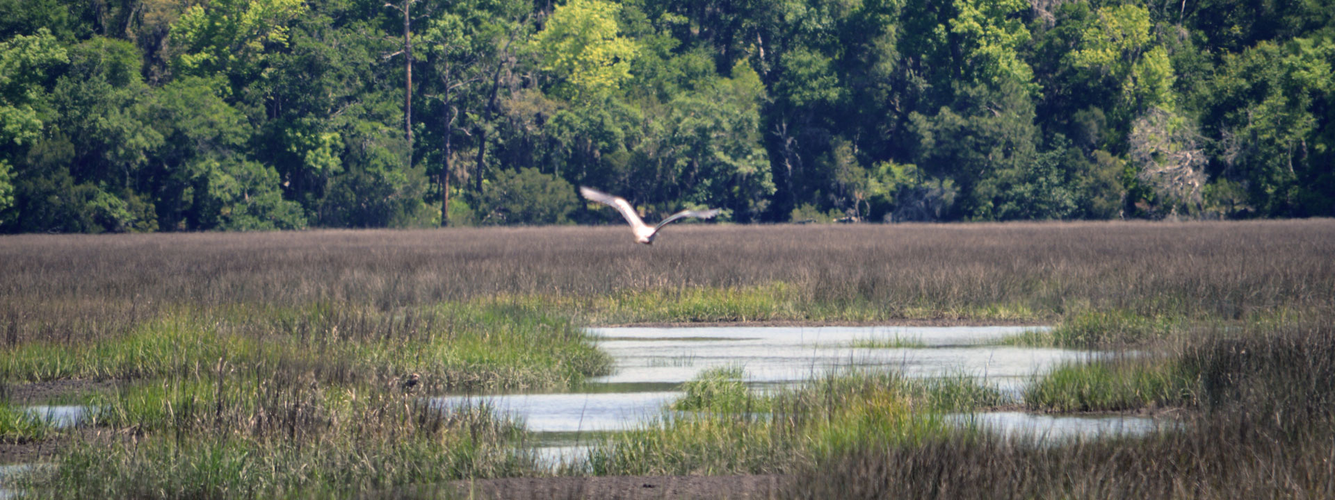 Winding River Community Custom Home Community St. Marys,